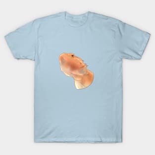 Calcifer the Bearded Dragon T-Shirt